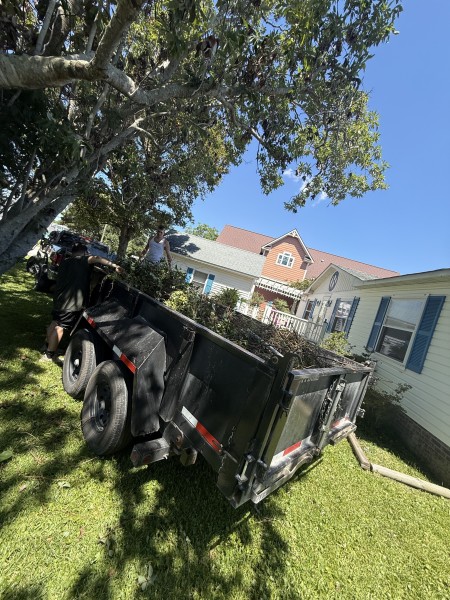 Yard Waste Removal in Jacksonville, NC (1)